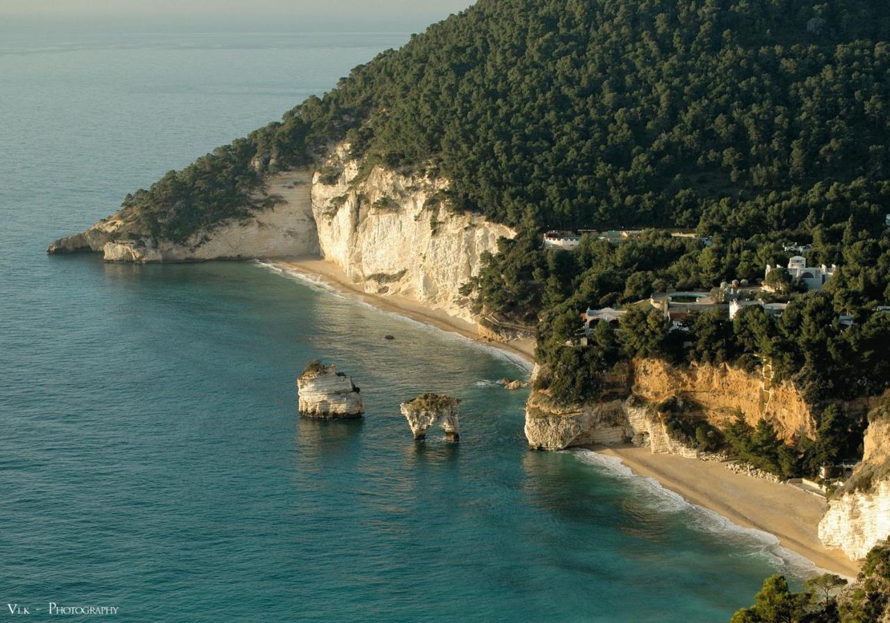 B&B Tor Di Lupo Mattinata Bagian luar foto